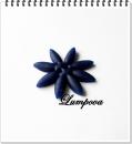 e-shop zdarma