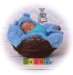 e-shop zdarma
